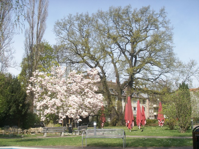 Darmstadt, Darmstadt-Nord, Martinsviertel-West, Alten- und Pflegeheim, Emilstraße