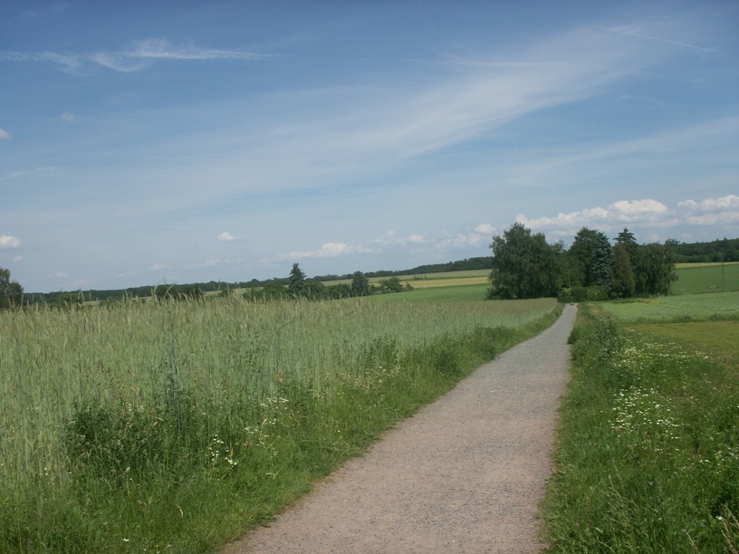 Darmstadt, Darmstadt-Ost, Am Oberfeld, Oberfeld