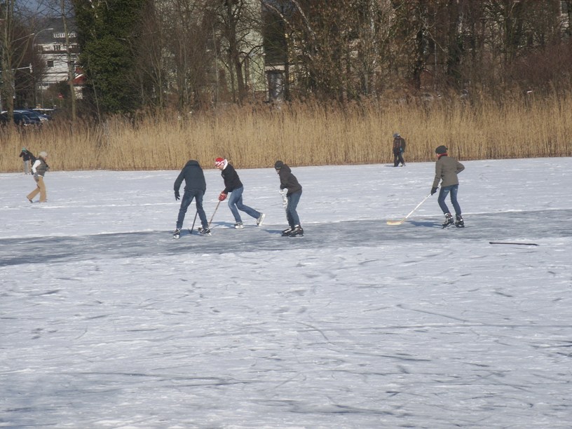 Darmstadt, Darmstadt-Ost, Woogsviertel, Großer Woog, ein Wintermärchen