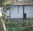 Darmstadt, Darmstadt-West, Heimstättensiedlung, Exo-Kan, Vogelpark, Klausenburger Straße