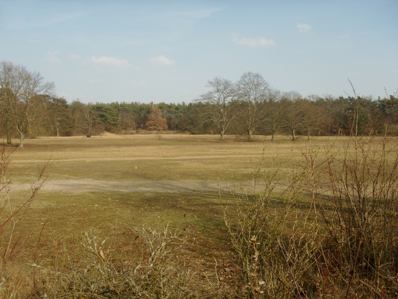 Darmstadt, Darmstadt-West, Heimstättensiedlung, Waldsportpark, SKV, Rot-Weiss Darmstadt 1954