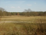 Darmstadt, Darmstadt-West, Heimstättensiedlung, Waldsportpark, SKV, Rot-Weiss Darmstadt 1954