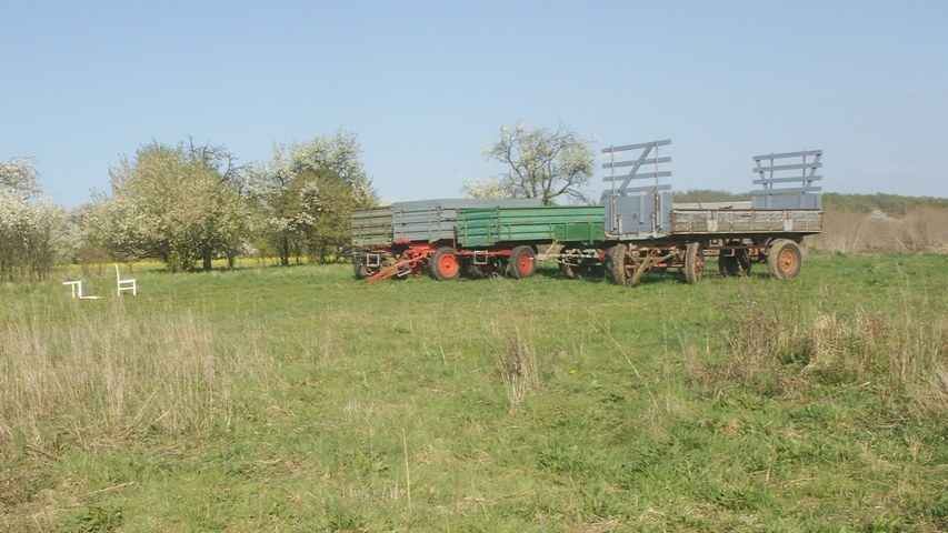 Darmstadt, Eberstadt, Alt-Eberstadt, Streuobstwiesen, Impressionen