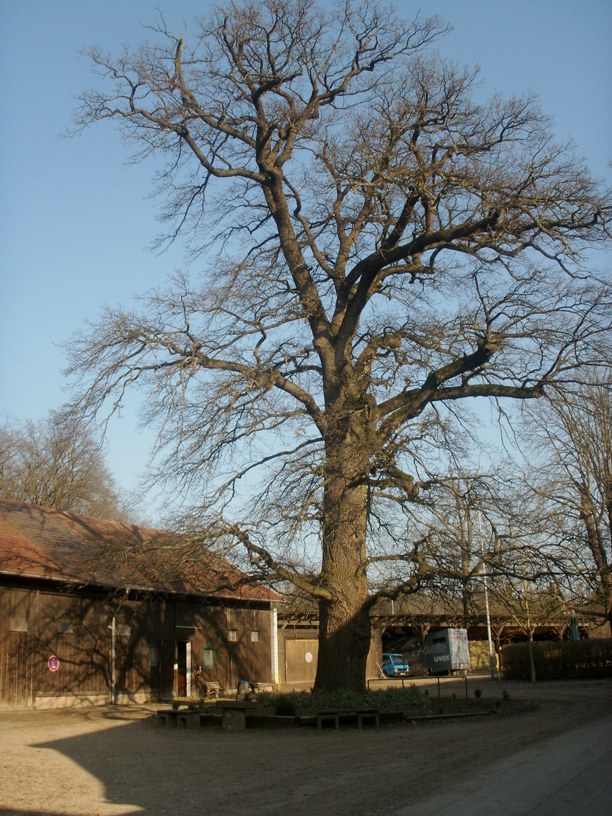 Darmstadt, Kranichstein, Kranichstein-Nord, Reiterhof Kranichstein