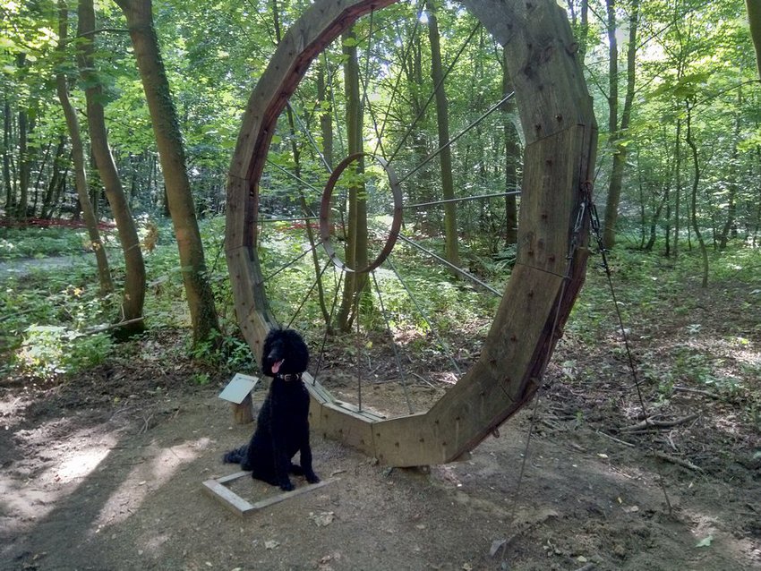 Darmstadt, Ein Hundeleben in Darmstadt, Spaziergang - Waldkunstpfad