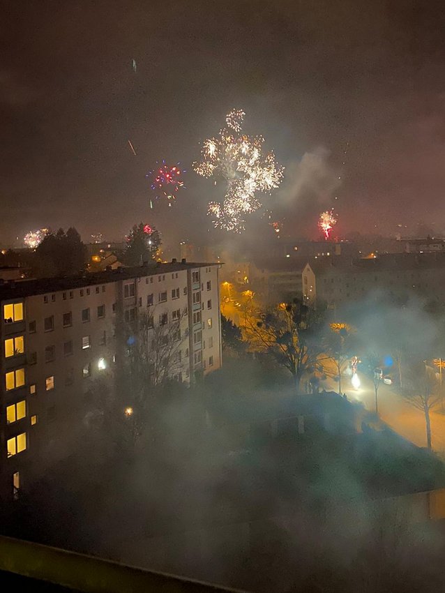 Darmstadt, Ein Hundeleben in Darmstadt, Silvester 2019