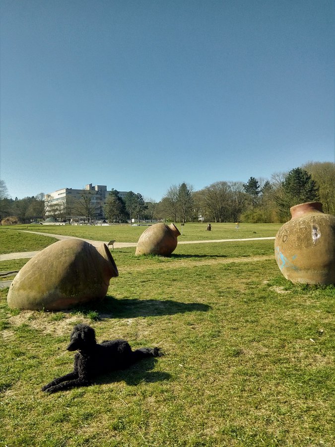 Darmstadt, Ein Hundeleben in Darmstadt, Schröder 2020, Hunde in Zeiten von COVID-19