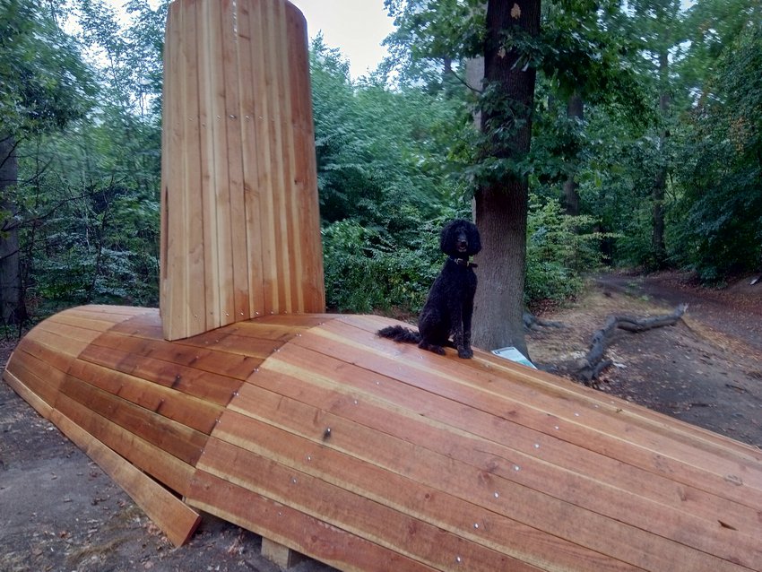 Darmstadt, Ein Hundeleben in Darmstadt - Wieder aufgetaucht: Das Wald U-Boot