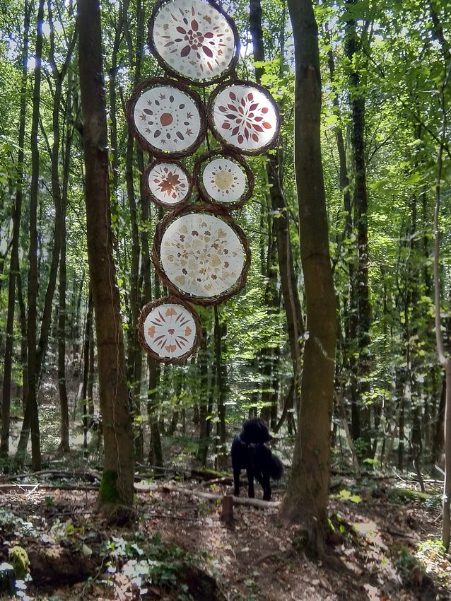 Darmstadt, Ein Hundeleben in Darmstadt, Waldkunstpfad-Geborgen