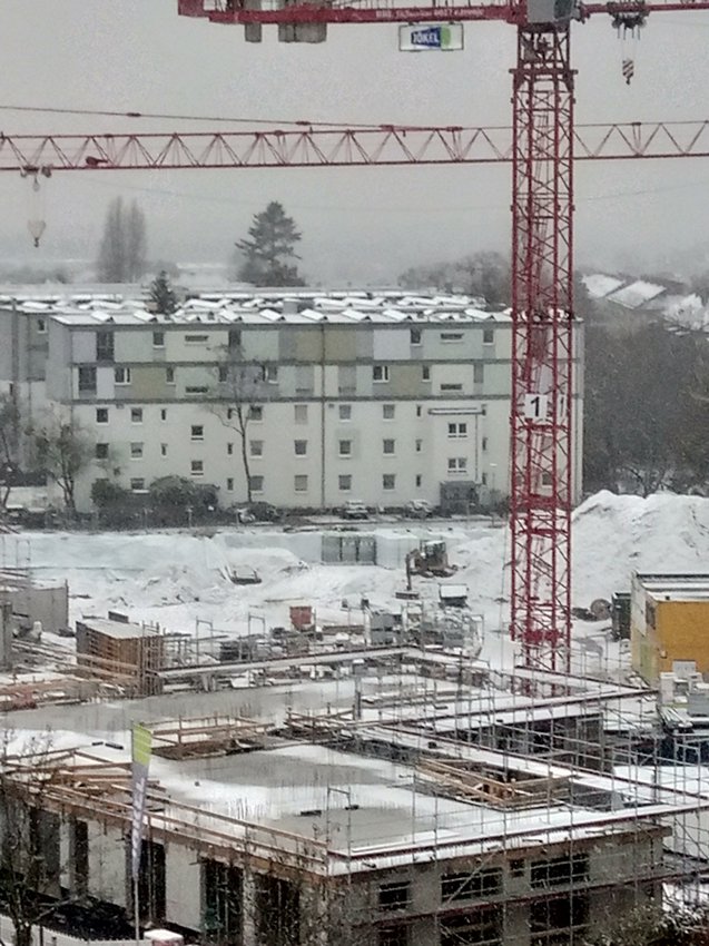 Darmstadt, Ein Hundeleben in Darmstadt - Postsiedlung Darmstadt-Winterbau