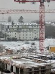 Darmstadt, Ein Hundeleben in Darmstadt, Schröder 2021, Postsiedlung Darmstadt-Winterbau