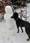 Darmstadt, Ein Hundeleben in Darmstadt, Schröder 2021, Zwei Männer im Schnee