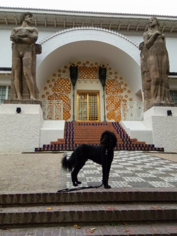 Darmstadt, Ein Hundeleben in Darmstadt - Mathildenhöhe/Ernst-Ludwig-Haus