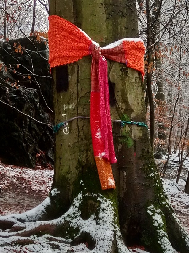 Darmstadt, Ein Hundeleben in Darmstadt - Rettet die Bäume