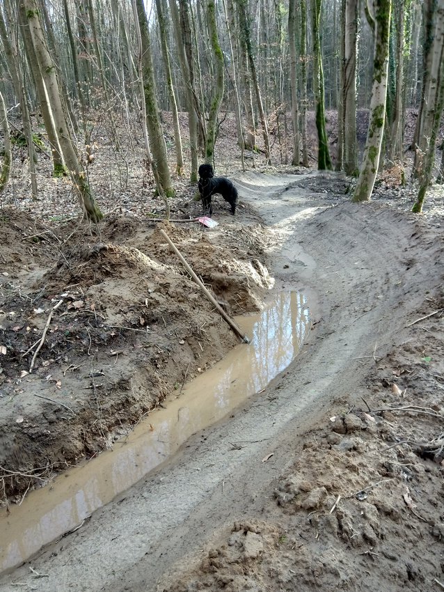 Darmstadt, Ein Hundeleben in Darmstadt - Downhillstrecke am Goethefelsen