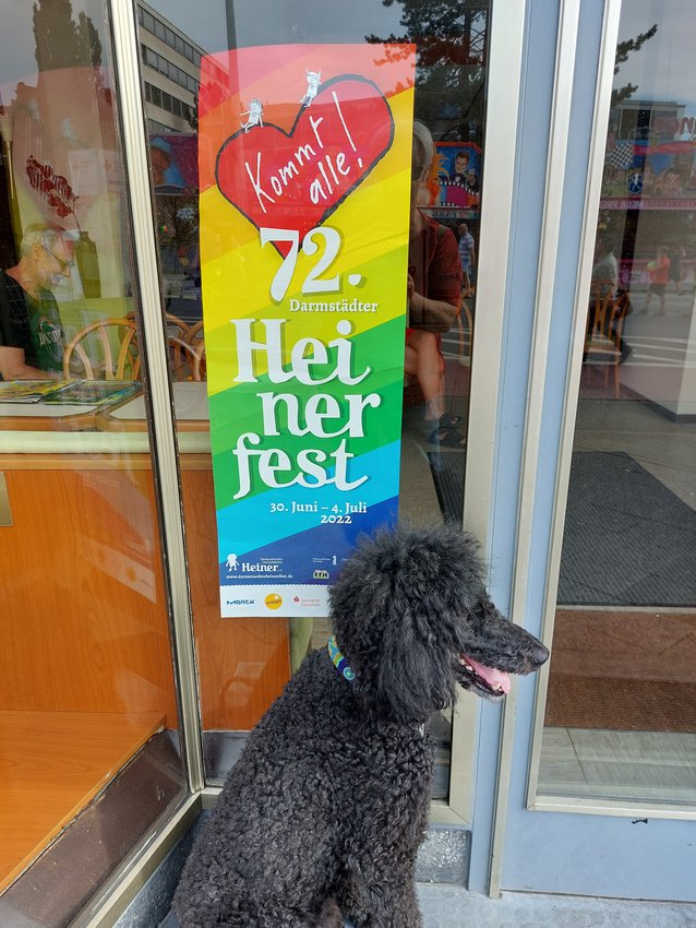 Darmstadt, Ein Hundeleben in Darmstadt - 72. Heinerfest in Darmstadt