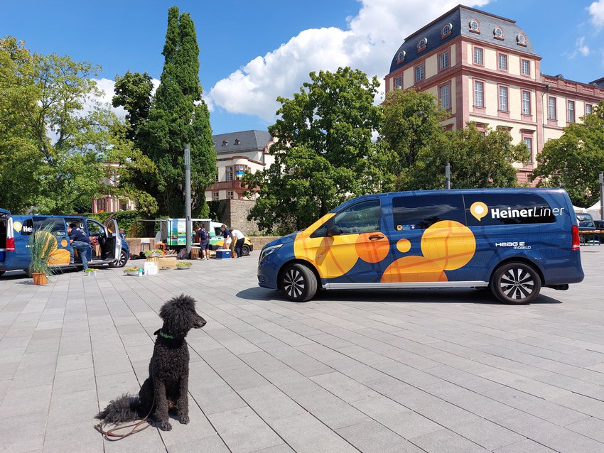 Darmstadt, Ein Hundeleben in Darmstadt - HeinerLiner