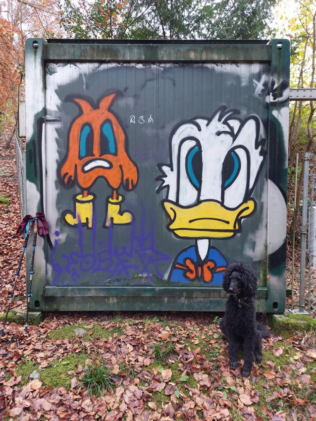 Darmstadt, Ein Hundeleben in Darmstadt - 7-Hügel-Steig, Dachsberg