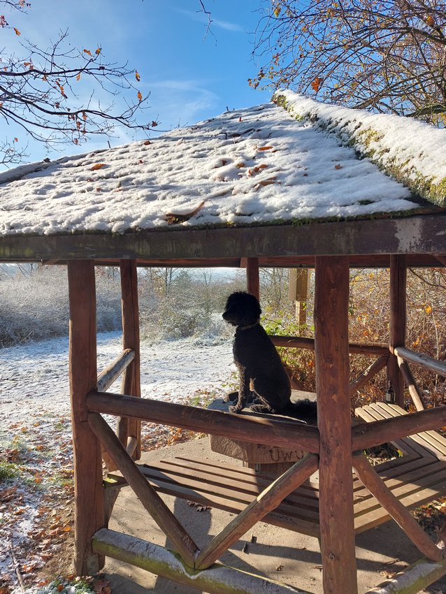 Darmstadt, Ein Hundeleben in Darmstadt - 7-Hügel-Steig, Prinzenberg