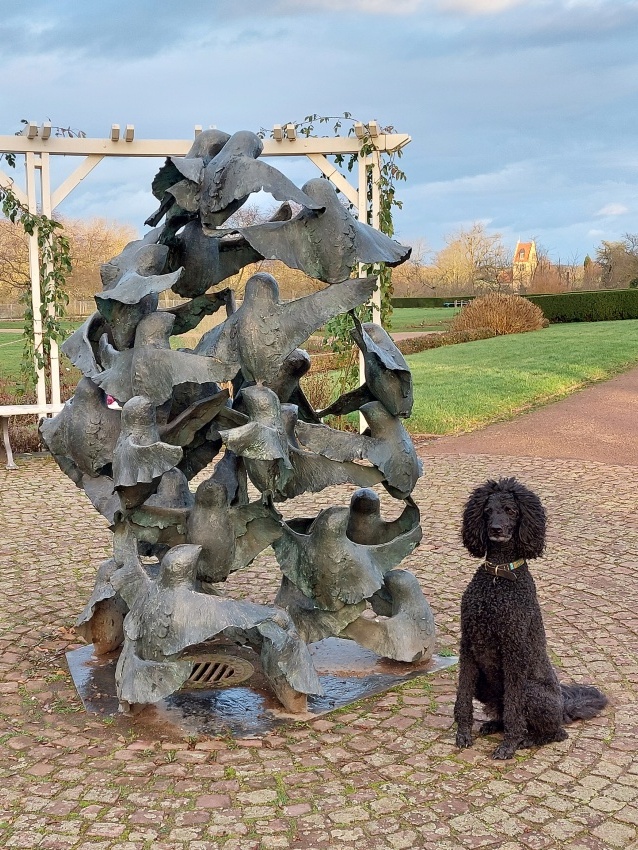 Darmstadt, Ein Hundeleben in Darmstadt - Rosenhöhe/Rosarium