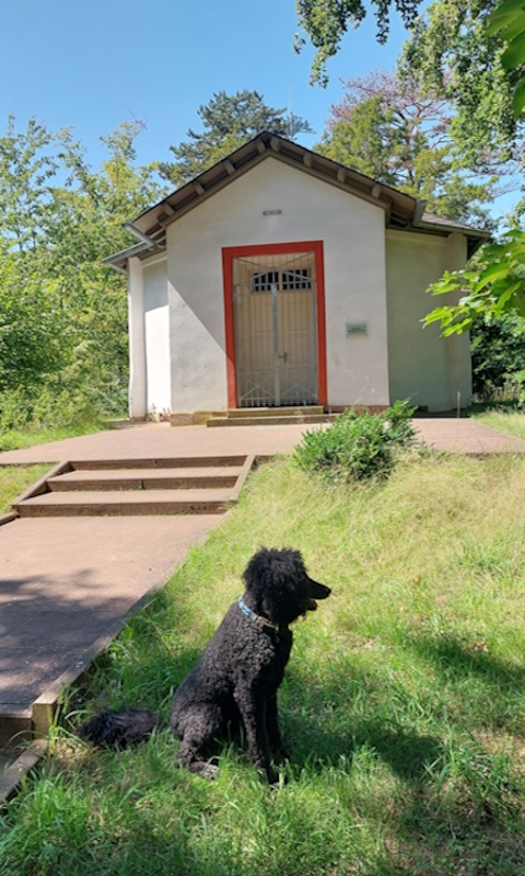 Darmstadt, Ein Hundeleben in Darmstadt - Dianaburg