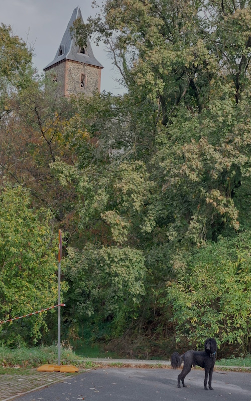 Darmstadt, Ein Hundeleben in Darmstadt - Burg Frankenstein