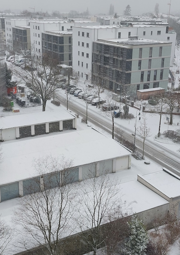 Darmstadt, Ein Hundeleben in Darmstadt - Eisregen...