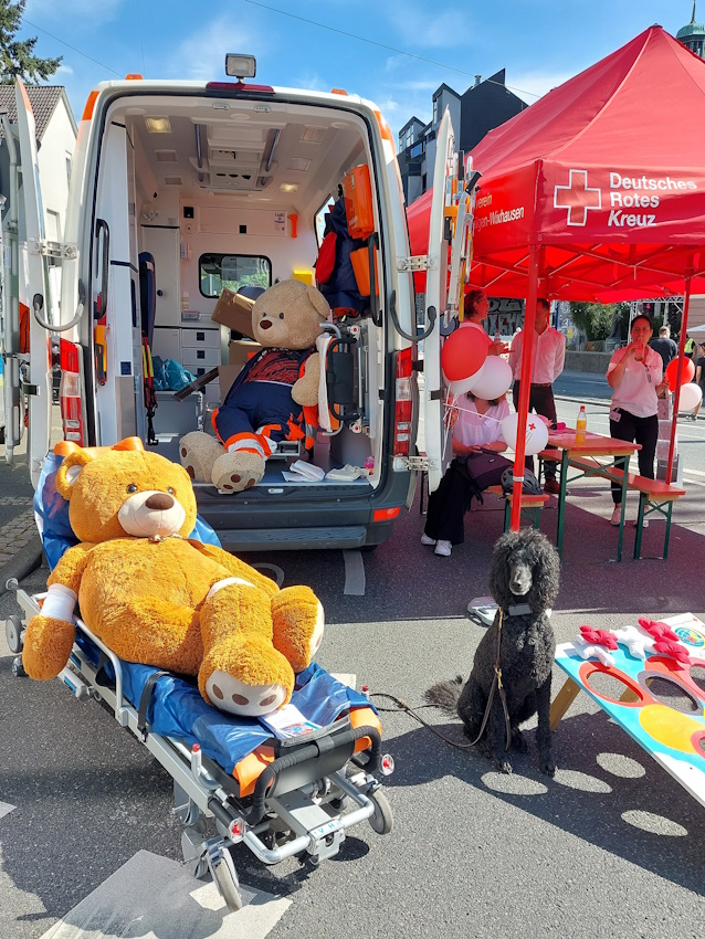 Darmstadt, Ein Hundeleben in Darmstadt - DRK im Einsatz auf dem 75. Heinerfest Darmstadt, Ein Hundeleben in Darmstadt - DRK im Einsatz auf dem 75. Heinerfest