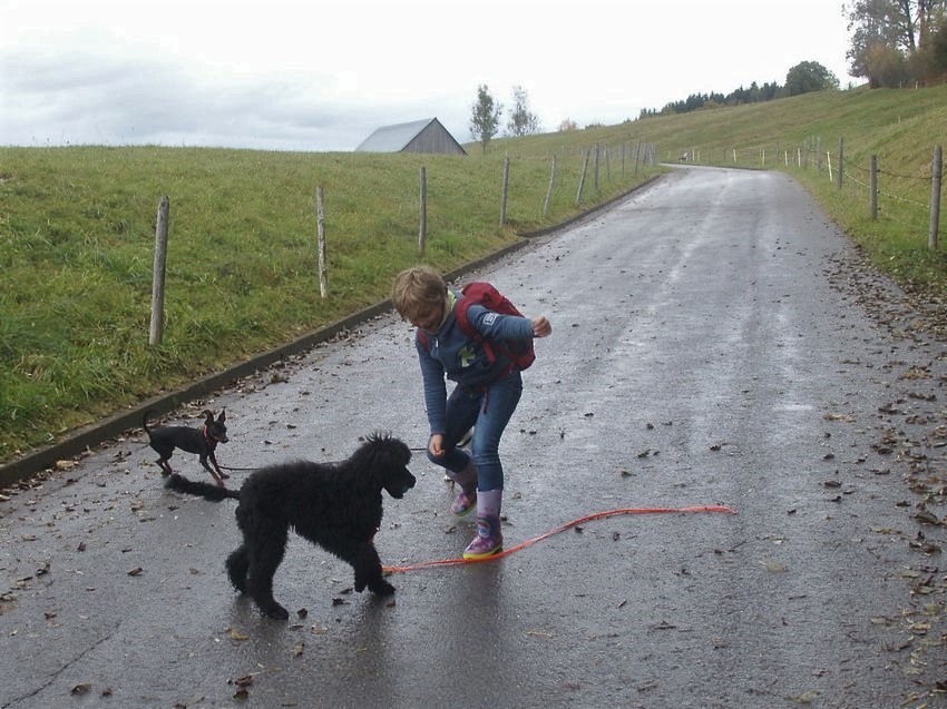 Ein Hundeleben on Tour, Urlaub, Tagesausflüge - Oberstdorf im Allgäu