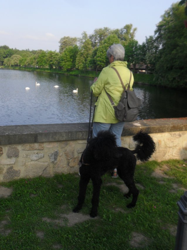 Ein Hundeleben on Tour, Urlaub, Tagesausflüge - 2018 Moritzburg/Sachsen