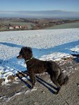 Ein Hundeleben on Tour, Urlaub, Tagesausflüge, Zeilhard/Hessen