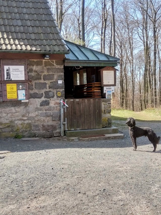 Ein Hundeleben on Tour, Urlaub, Tagesausflüge - 2021 Kaiserturm/Hessen