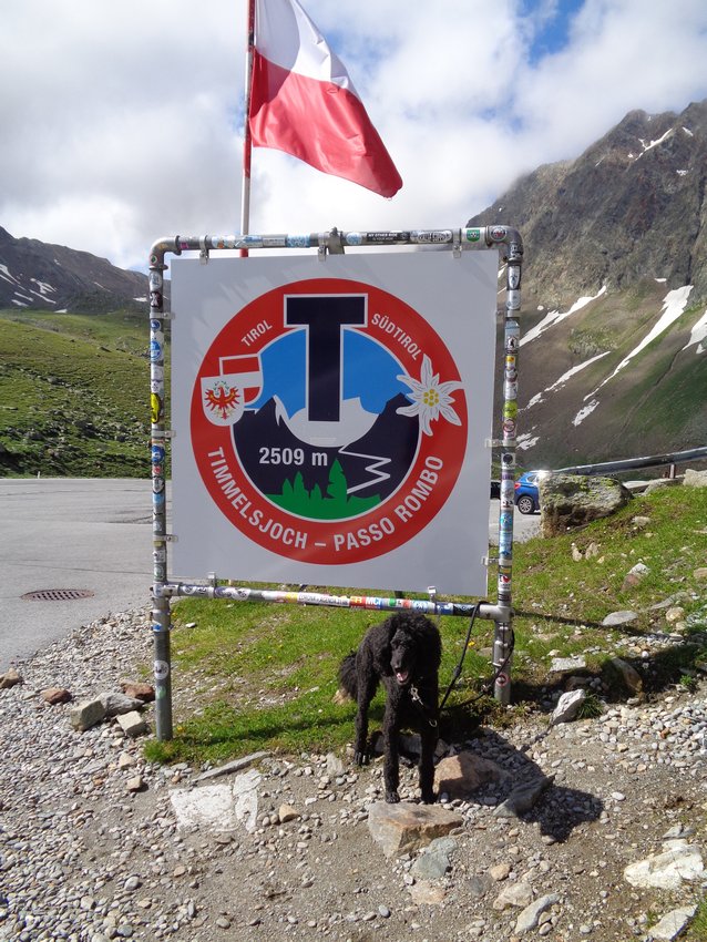 Ein Hundeleben on Tour, Urlaub, Tagesausflüge - 2021 Timmelsjoch/Österreich/Italien