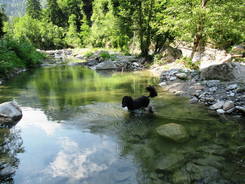 Ein Hundeleben on Tour, Urlaub, Tagesausflüge - 2021 Passerschlucht/Italien