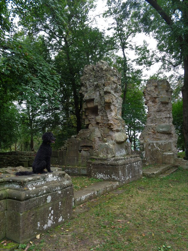 Ein Hundeleben on Tour, Urlaub, Tagesausflüge - 2021 Odernheim am Glan/Rheinland-Pfalz