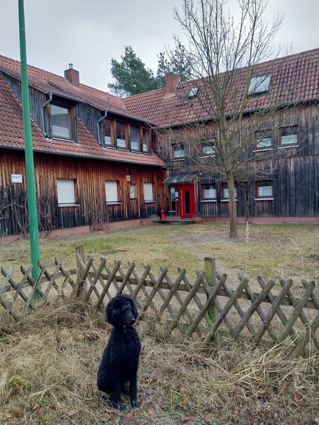 Ein Hundeleben on Tour, Urlaub, Tagesausflüge - Pfungstadt/Hessen