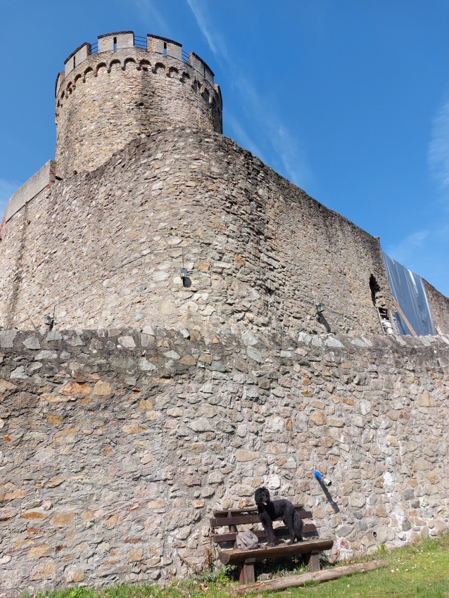 Ein Hundeleben on Tour, Urlaub, Tagesausflüge - Alsbach-Hähnlein, Hessen, Schloss Alsbach