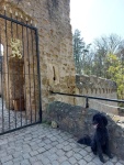 Ein Hundeleben on Tour, Urlaub, Tagesausflüge, Alsbach-Hähnlein, Hessen, Schloss Alsbach