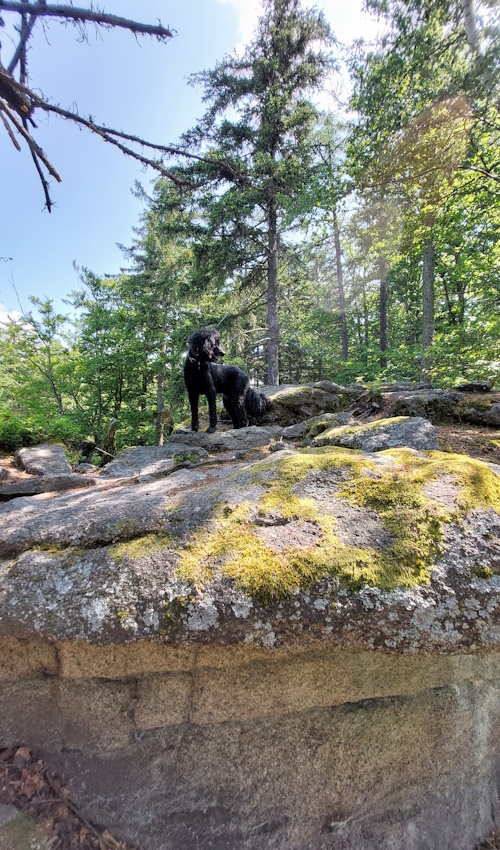 Ein Hundeleben on Tour, Urlaub, Tagesausflüge - Erbendorf, Bayern, Saubadfelsen