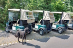 Ein Hundeleben on Tour, Urlaub, Tagesausflüge, Tröstau, Bayern, Golfclub Fahrenbach