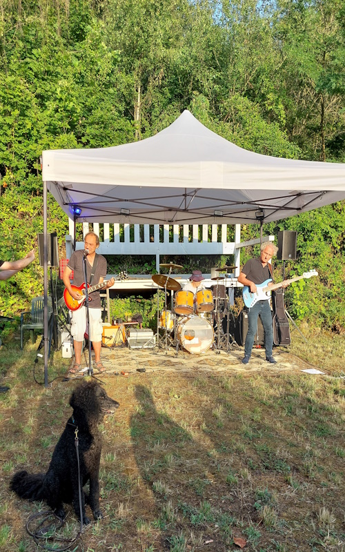 Ein Hundeleben on Tour, Urlaub, Tagesausflüge - Bad Münster am Stein/Rheinland-Pfalz, Dannemann&Friends