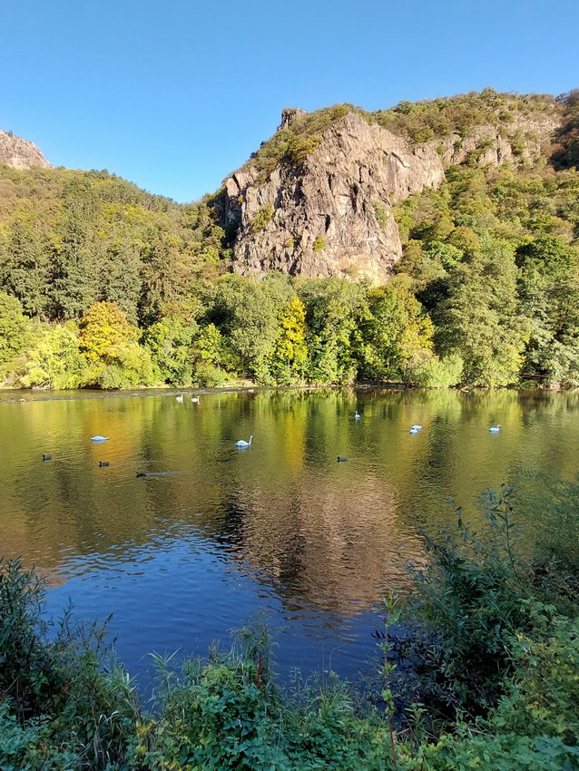 Ein Hundeleben on Tour, Urlaub, Tagesausflüge - Bad Münster am Stein, Rheinland-Pfalz, Huttental