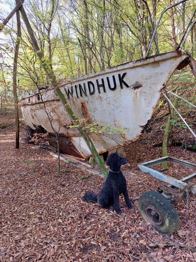 Ein Hundeleben on Tour, Urlaub, Tagesausflüge - Bad Münster am Stein, Rheinland-Pfalz, Windhuk