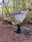 Ein Hundeleben on Tour, Urlaub, Tagesausflüge, Bad Münster am Stein, Rheinland-Pfalz, Windhuk